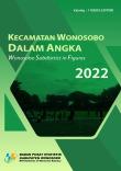 Wonosobo Subdistrict In Figures 2022