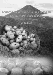 Kecamatan Kejajar Dalam Angka 2013